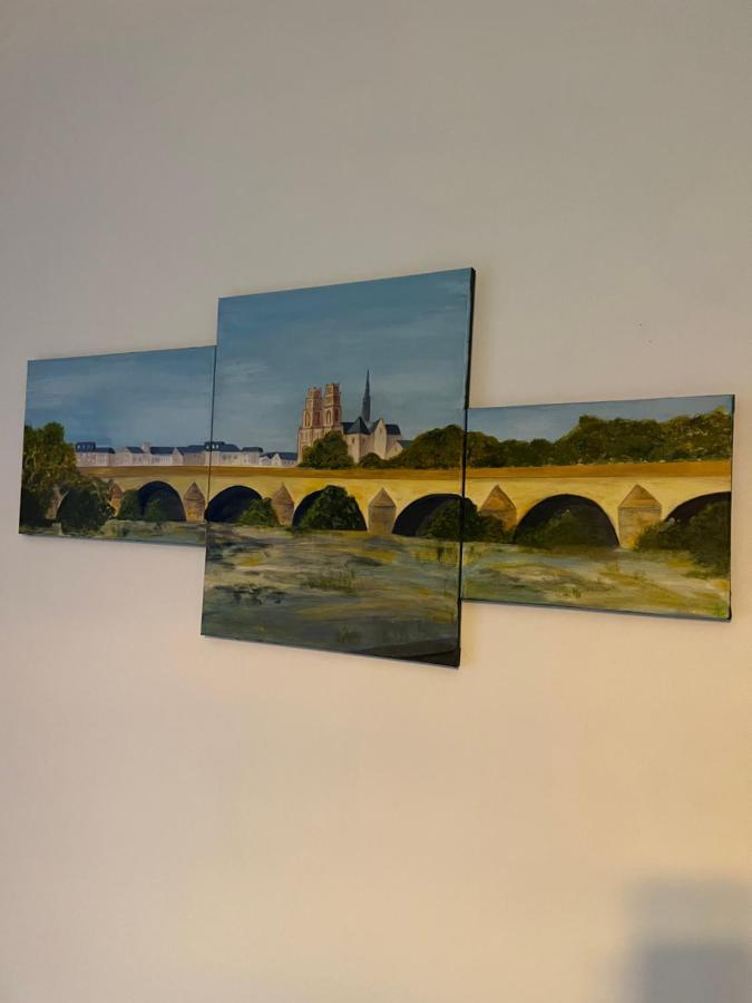 Cosy Loire, T2 Neuf, Front De Loire ,Vue Cathedrale,5Min A Pied Centre Ville Et Parking Prive Orléans Exteriör bild